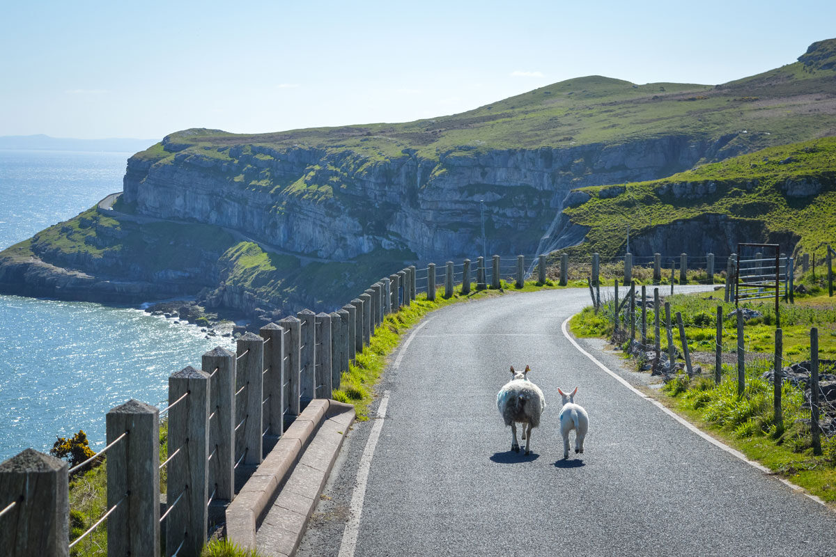 Great Orme Country Park